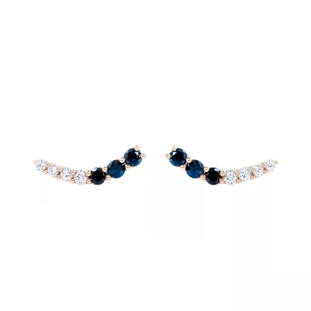 Aros en oro rosa con diamantes Fancy Black talla brillante y diamantes talla brillante.