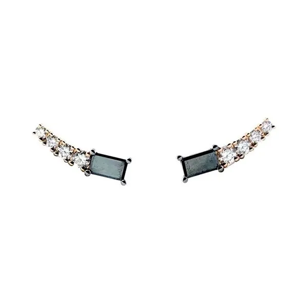 Earrings in rose gold set with brilliant-cut Fancy Black diamonds and brilliant-cut diamonds.